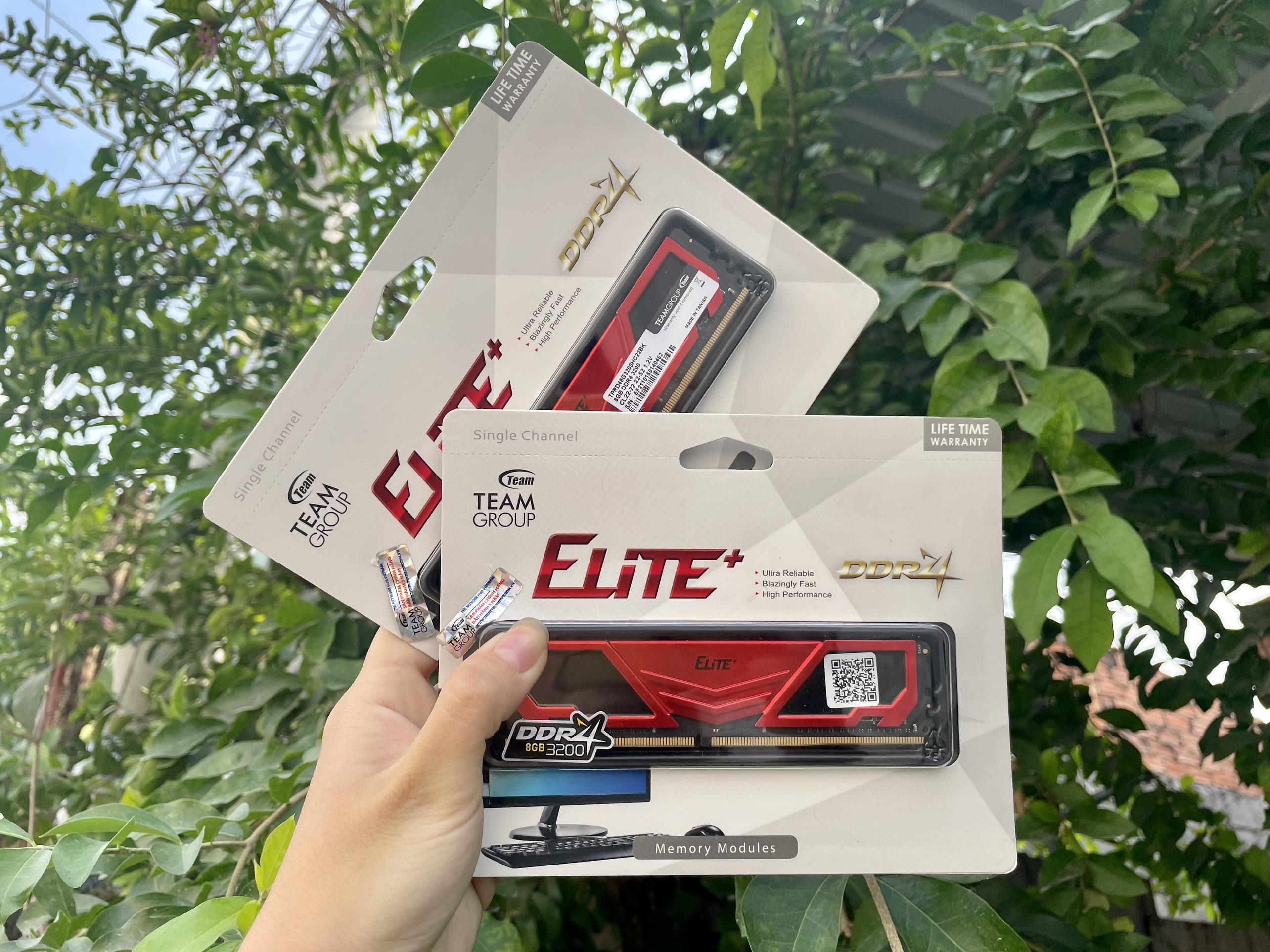 Ram DDR4 Team 8G/3200 Elite Plus